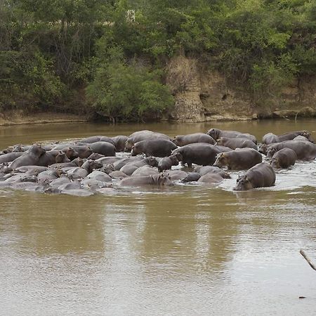 Ngerende Island Lodge (Adults Only) Maasai Mara Exterior foto